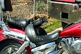 2003 VTX 1300 Retro 013